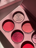 پالت رژگونه Sheglam